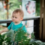 Uśmiechnięty dwulatek bawi się na dworze wśród zielonych roślin